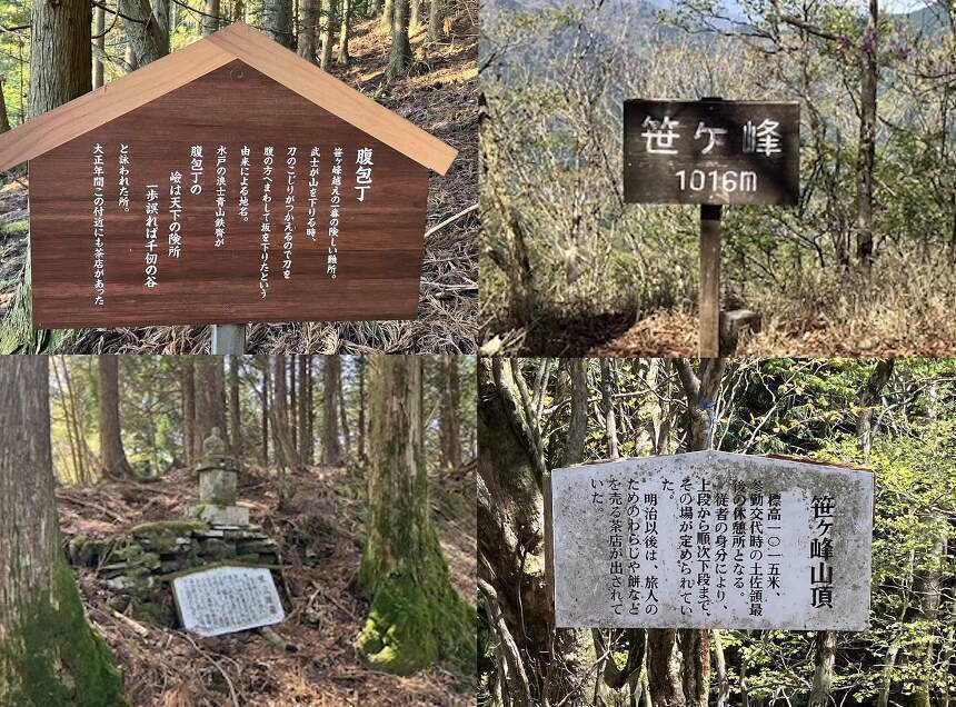 （山本係長ギャラリー）「笹ヶ峰（四国中央市）」へ登山に行きました。